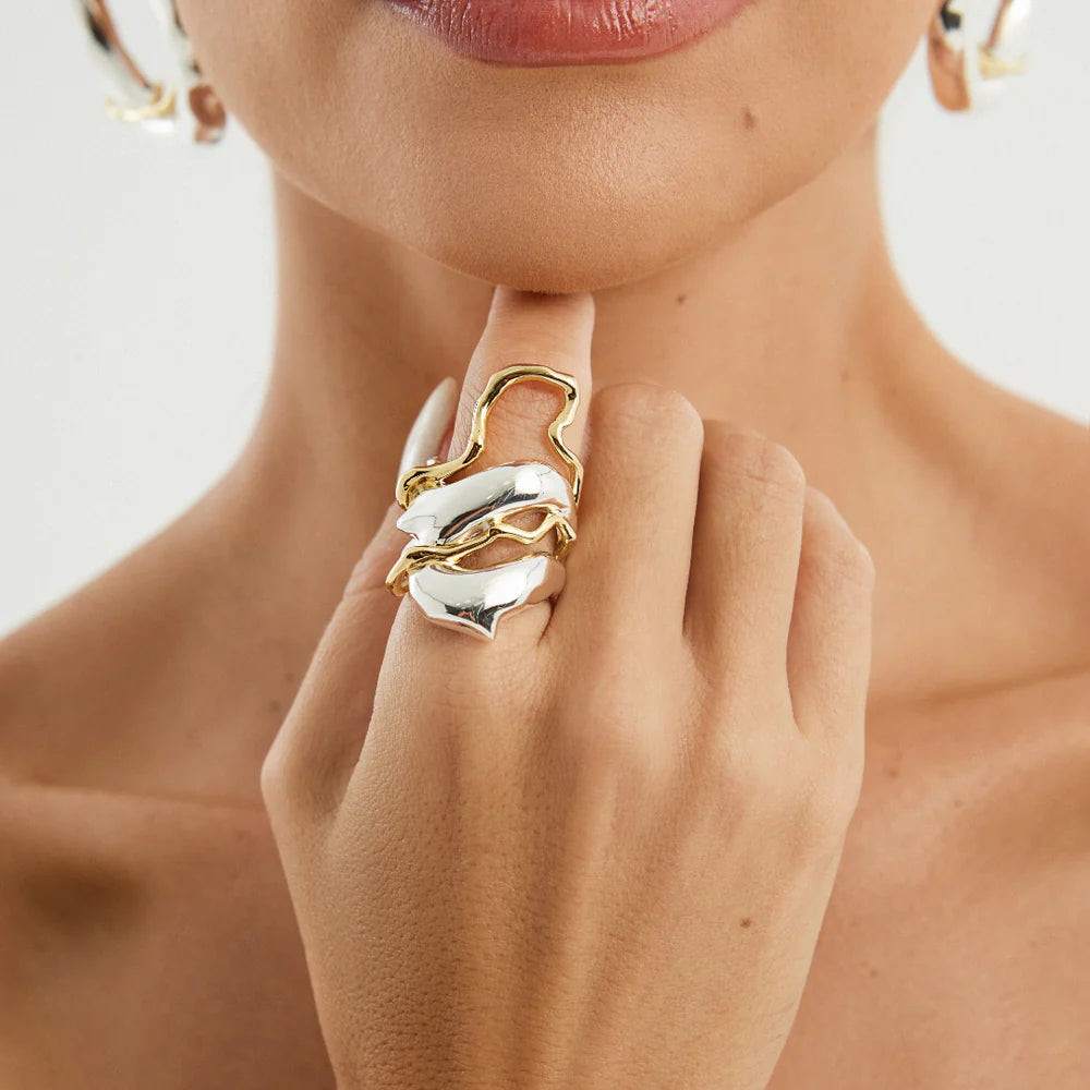 Vanessa Silver/gold Ring